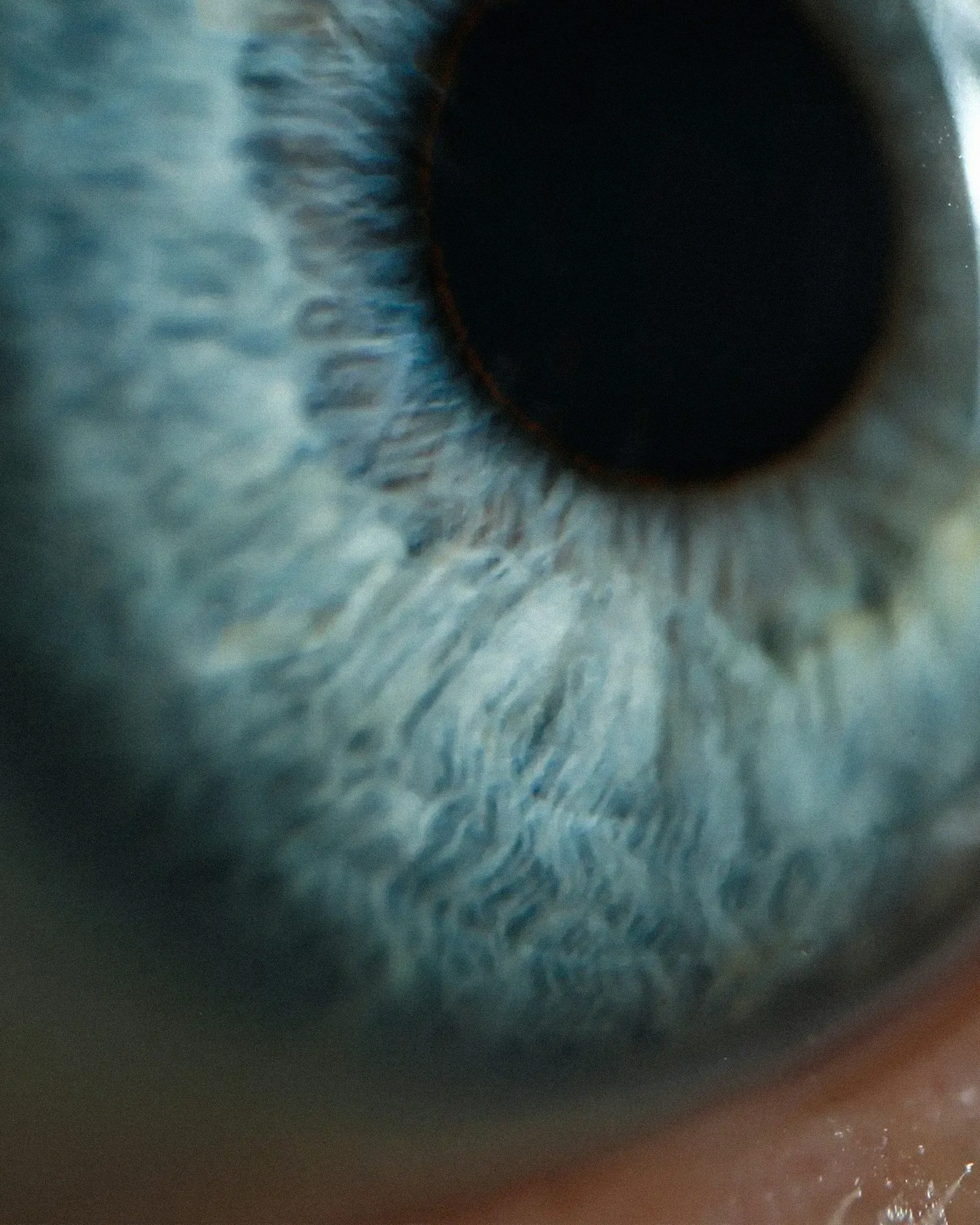 StemSight, restoring vision through stem-cell therapy